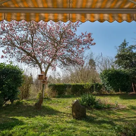 Apartament Oasis Mendig