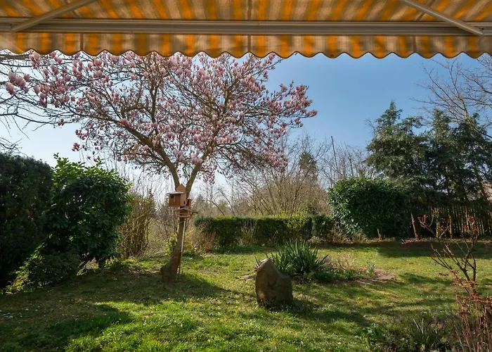 Apartamento Oasis Mendig